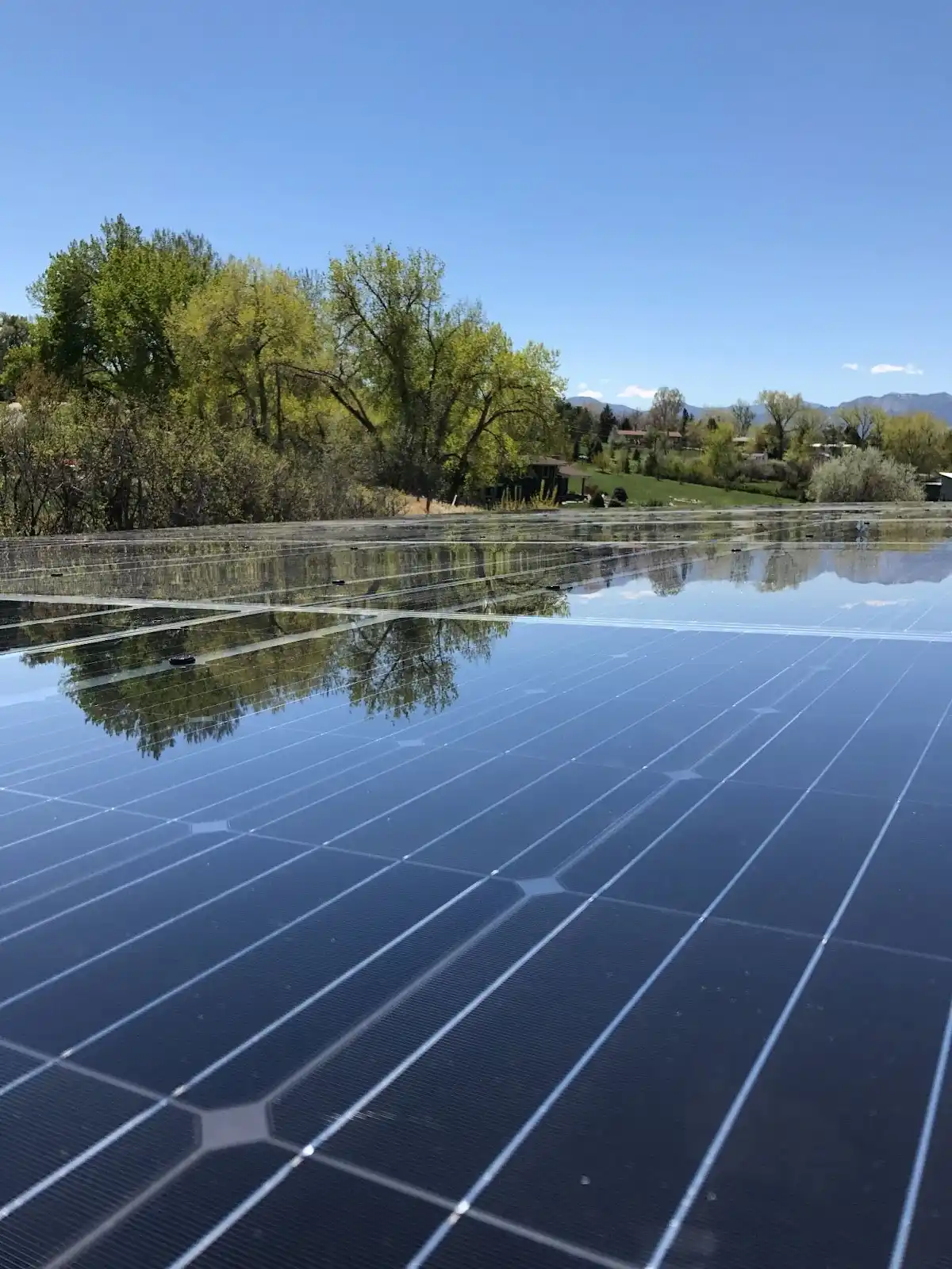 Close-up of residential solar panels in Denver reflecting clear blue skies and green trees