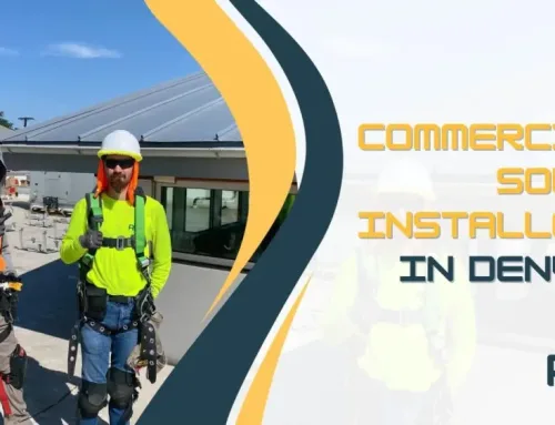 Solar Leasing 101: How Businesses Can Go Solar Without the Upfront Cost