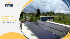 Larkspur solar companies
