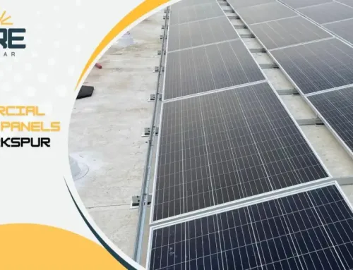 Future-Proofing Your Larkspur Business’ Energy Strategy in 2026 and Beyond