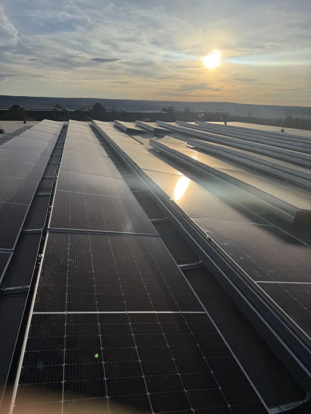 Rows of solar panels reflecting the sunset, capturing clean renewable energy