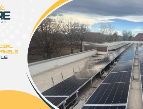 What Castle Rock Businesses Should Know About Solar Efficiency