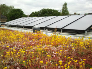 solar installation in Boulder
